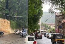 जीव गेल्यावर एमएसईबी ला जाग येणार कां