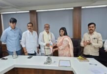 कोयना बँकच्या अध्यक्षपदी कृष्णत पाटील