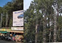 राजवाडा बागेत खेळण्यांपेक्षा फ्लेक्सलाच प्राध्यान्य