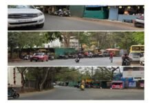 चौका चौकात असणाऱ्या हिरव्या जाळींमागे दडलय काय