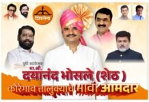 कोरेगावच्या आमदारकीची आतापासूनच रणधुमाळी