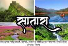 अतिवृष्टीच्या पार्श्वभूमीवर सातारा जिल्ह्यात सतर्कतेचे आदेश